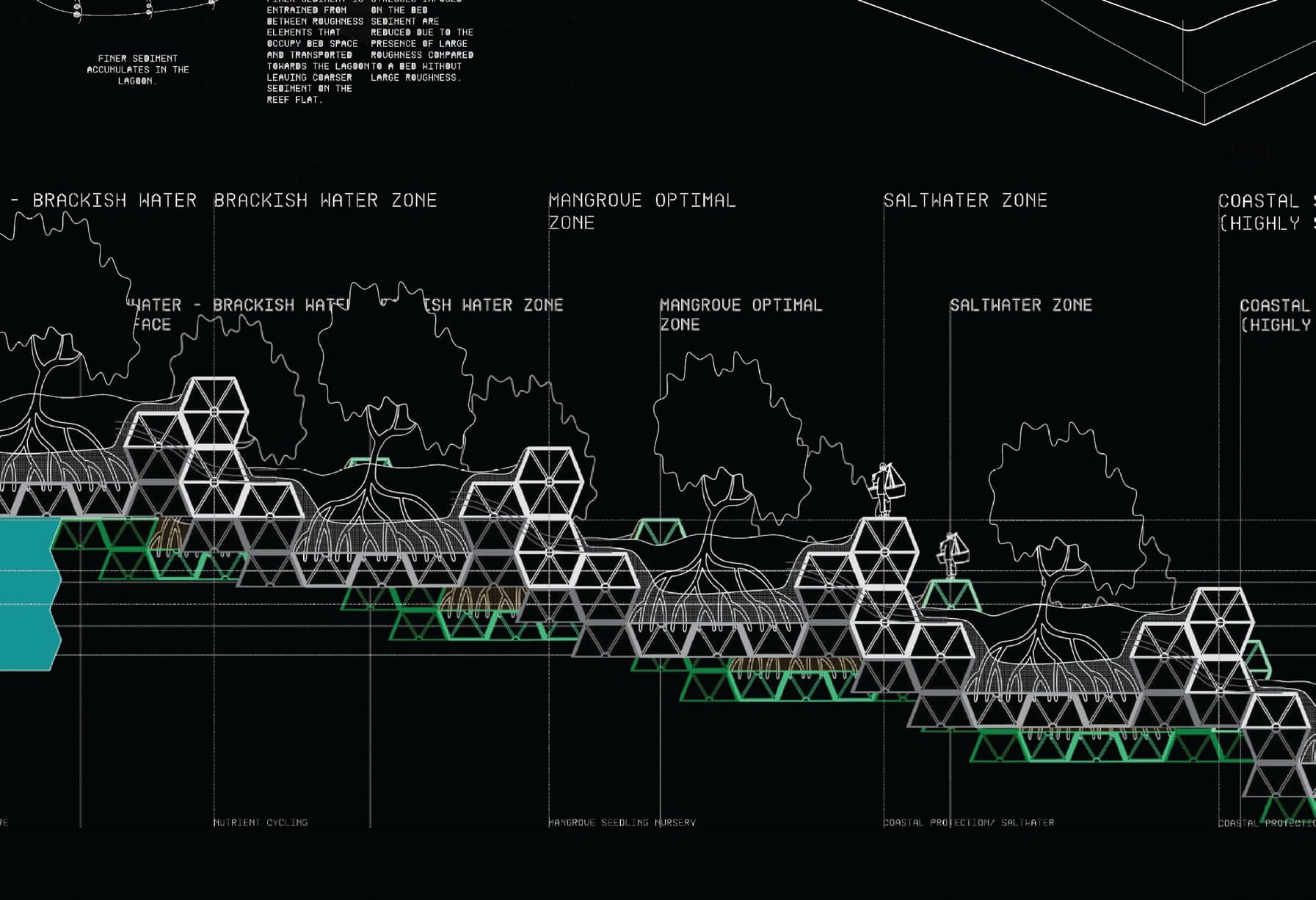 Generative Coastlines — section