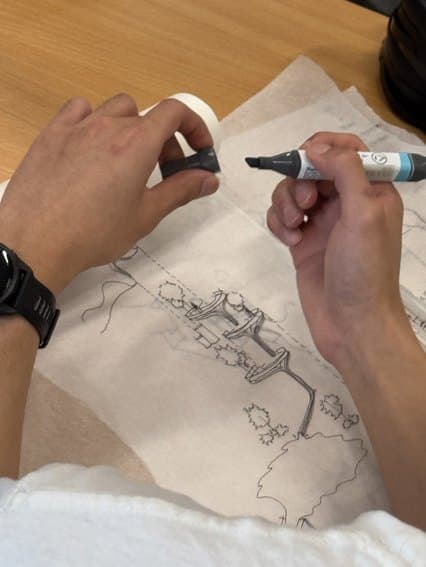 Tracing-paper study — connections across the section