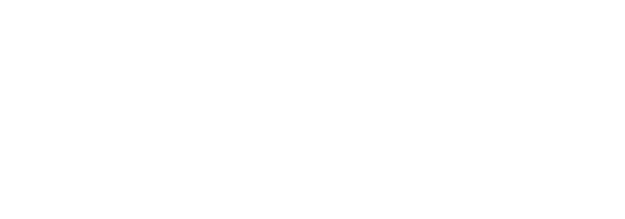 Universidad del Desarrollo