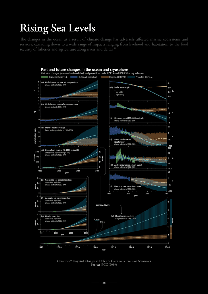 Rising Sea Levels — past and future changes in the ocean and cryosphere