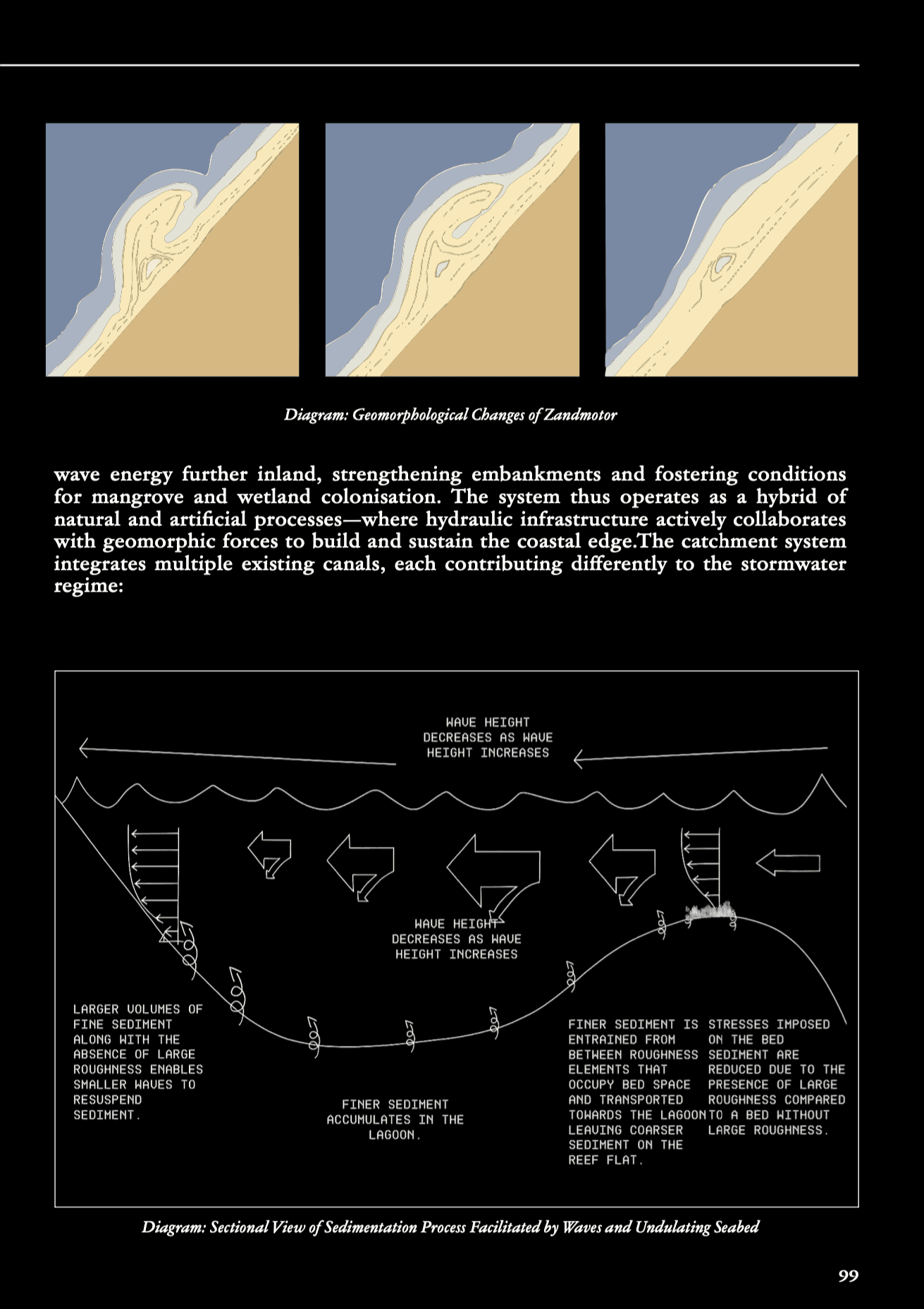 Sediment accretion and beach nourishment studies